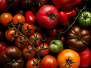 Isle of Wight tomatoes